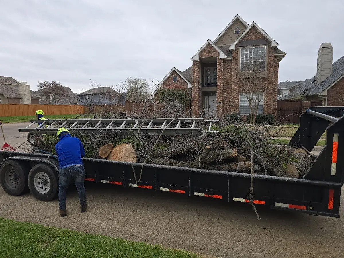 Expert Tree Fertilization with proper safety equipment in Ochlocknee